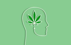 Cannabis y sistema cannabinoide